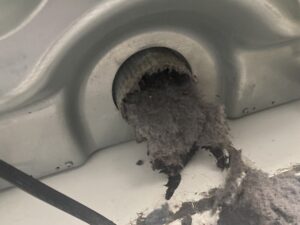 Dryer Fire Potential
